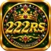 222 RS Game Icon